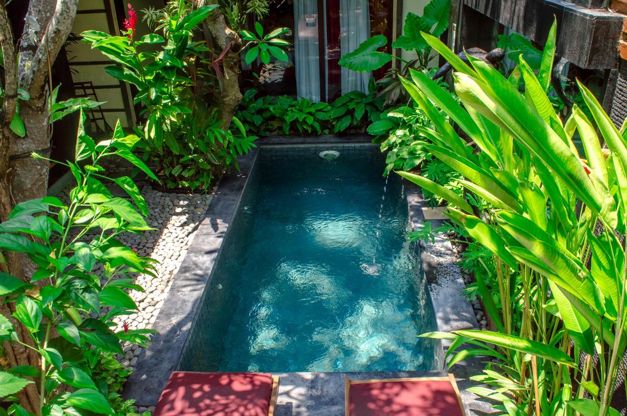 The Bali Dream * Seminyak (Bali)